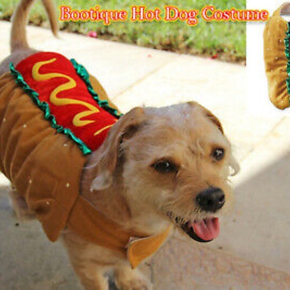 Hot Dog Design Pet Costumes - Halloween Pet